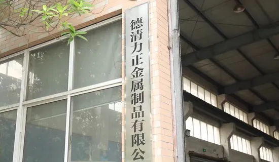 Copper Zinc Steel Aluminum Iron Metal Cast Lost Wax Sand Vacuum Investment Die Casting Service 