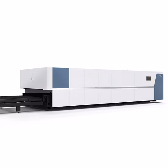 High Precision Ipg Full Cover Fiber Laser Cutting CNC Machine with Exchange Table 3000W